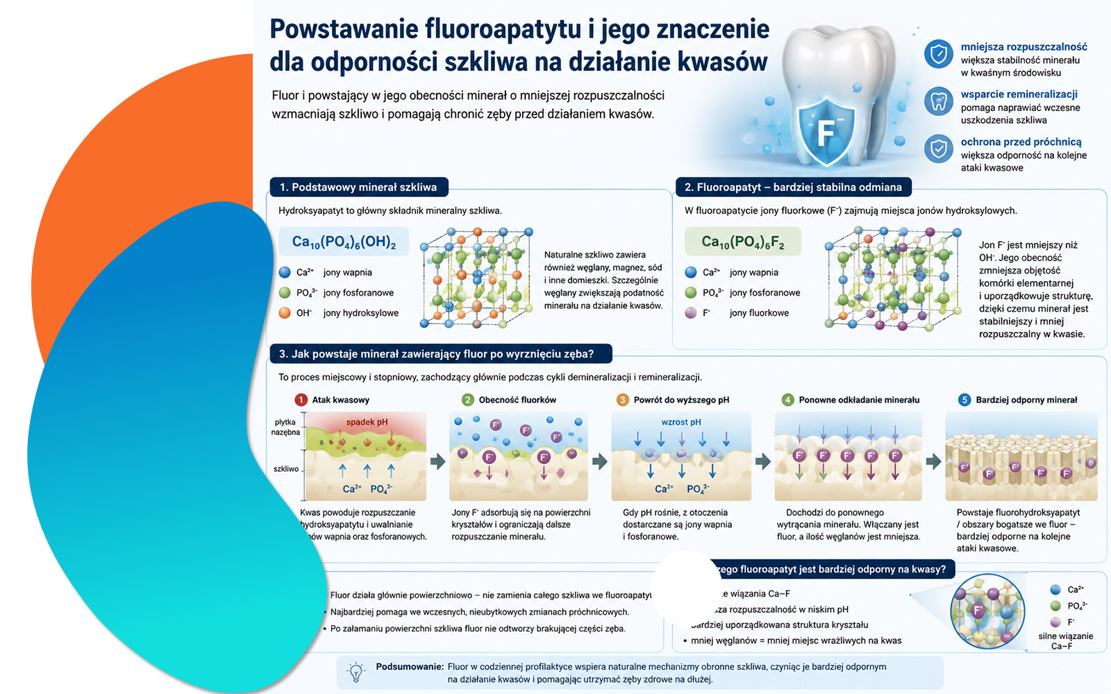 Powstawanie fluoroapatytu